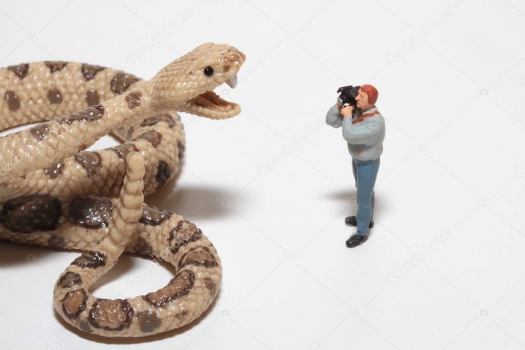 miniature of a reporter with a camera in front of a giant rattlesnake