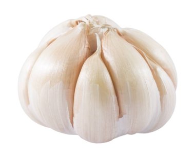 Çiğ sarımsak ampuller ve beyaz arka plan üzerinde diş sarımsak