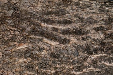 Tahta ahşap zarif yatay doku