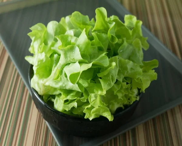 Hojas de lechuga verde fresca en un tazón — Foto de Stock