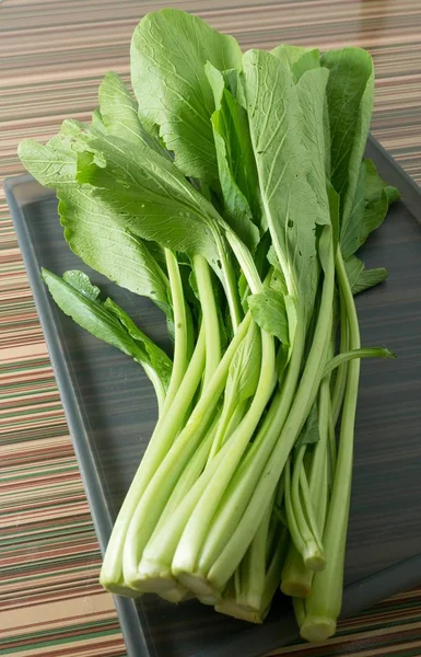 Organik Çince lahana veya Pok Choi bir tepsi — Stok fotoğraf