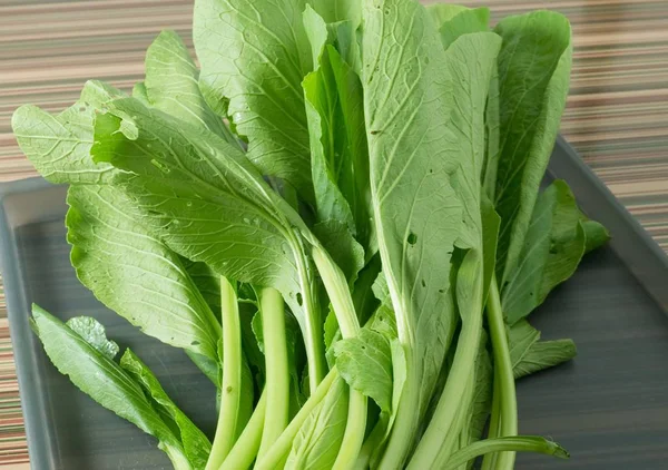 Fresh Green Chinese Cabbage on A Tray — Stock Photo, Image