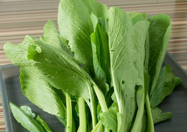 Fresh Organic Chinese Cabbage on A Tray — Stock Photo, Image