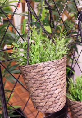 Bir hasır sepet içinde yeşil Yapay ağaç