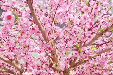 Japon tarzı dekorasyon için yapay kiraz çiçekleri