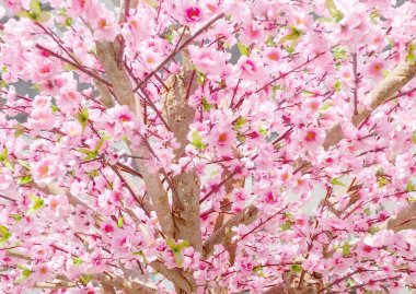 Japon tarzı dekorasyon için yapay Sakura çiçekler