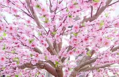 Japon tarzı dekorasyon için yapay kiraz çiçekleri