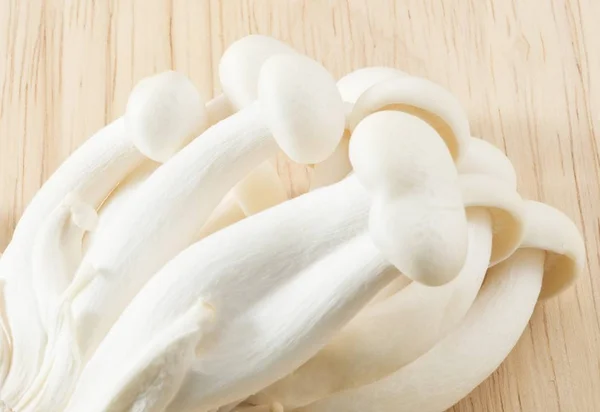 Biały grzyby Shimeji na płycie — Zdjęcie stockowe