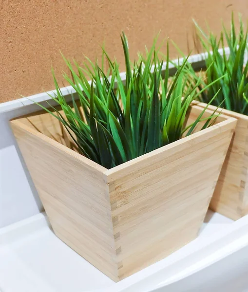 Зеленое искусственное растение в деревянном котле — стоковое фото