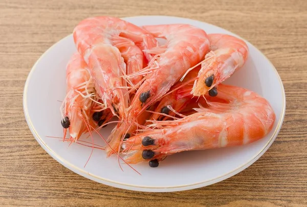 Langostinos cocidos o camarones tigre en una placa blanca —  Fotos de Stock