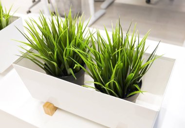 Ahşap bir kap içinde yeşil suni çim