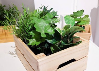 Ahşap bir tencerede yeşil yapay ağaçlar