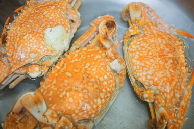 Metal bir tencerede buğulanmış mavi yengeç 