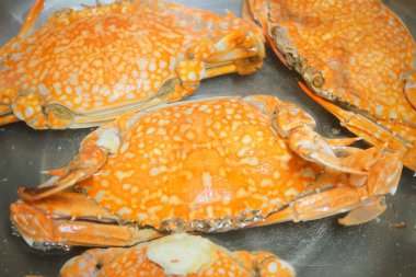 Metal bir tencerede buğulanmış mavi yengeç 