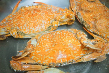 Metal bir tencerede buğulanmış mavi yengeç 