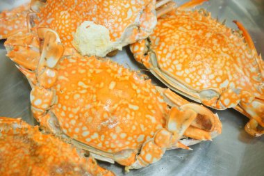 Metal bir tencerede buğulanmış mavi yengeç 