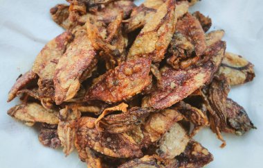 Tuzlu gevrek derin kızarmış kalamar ve ahtapot