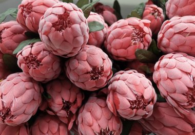 Close Up of Red Artificial Protea Aristata Flowers clipart