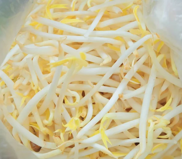 K vitamini, B ve C ile lahanası taze Mung fasulye