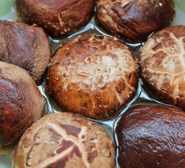 Jamur Shiitake Segar atau Jamur Edodes Lentinula — Stok Foto