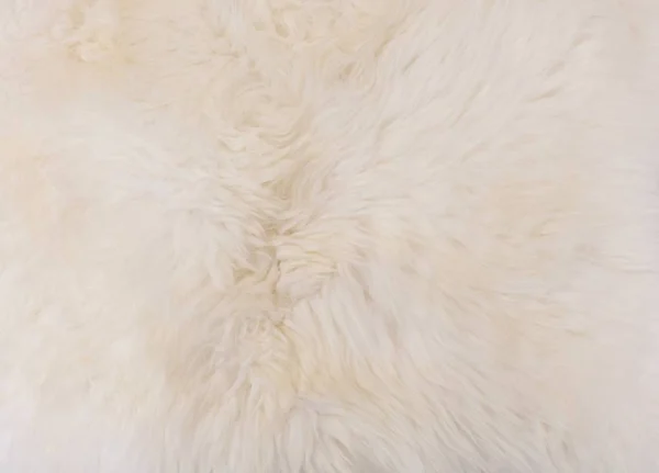 Detail van de witte pluizige wol textuur achtergrond — Stockfoto