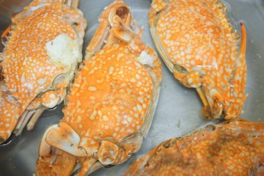 Metal bir tencerede buğulanmış mavi yengeç 