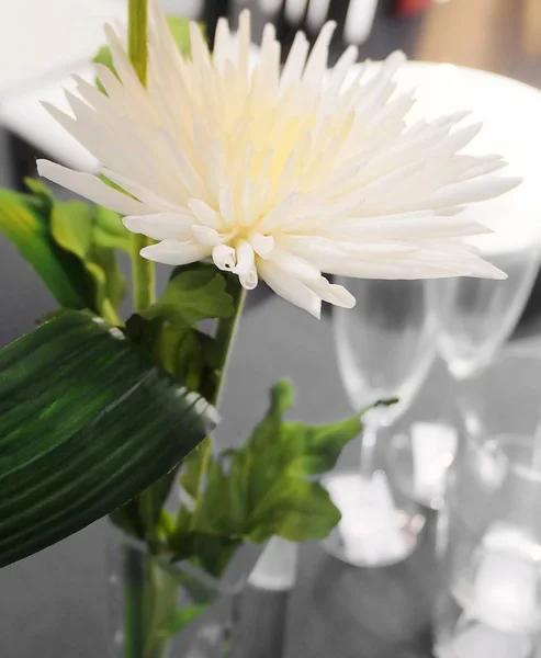 Fleurs artificielles blanches de chrysanthème pour le décor à la maison — Photo