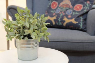 Oturma odasında yeşil yapay ağaçlar