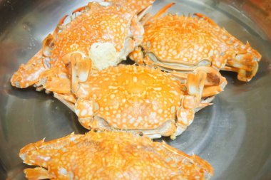 Metal bir tencerede buğulanmış mavi yengeç 