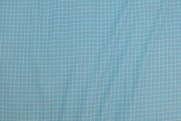 Mavi ve beyaz oduncu ekose Seamless Modeli