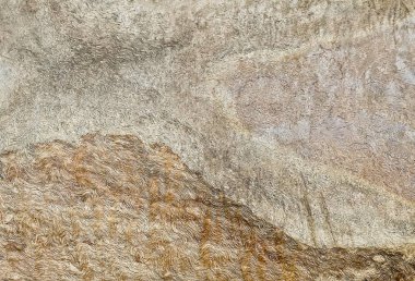 Kahverengi doku ahşap arka plan kapandı