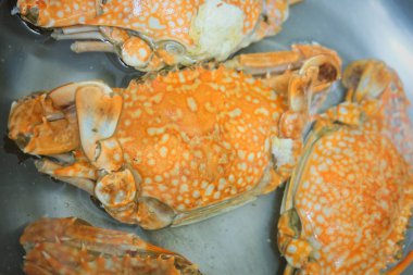 Metal bir tencerede buğulanmış mavi yengeç 