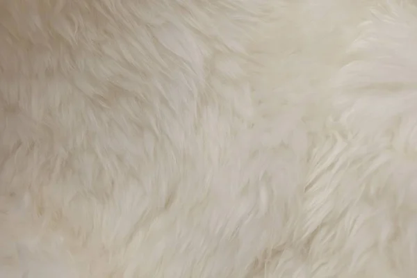 Détail de fond de texture de laine moelleuse blanche — Photo