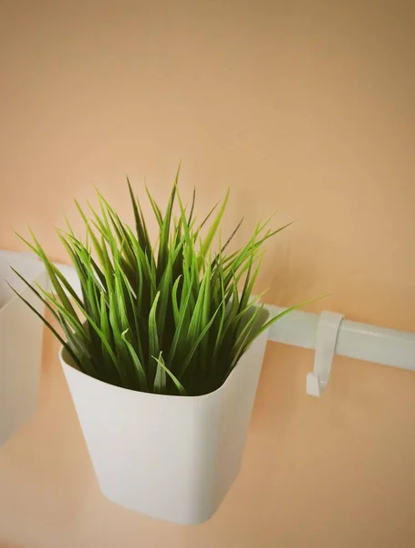 Planta artificial verde em um potenciômetro branco — Fotografia de Stock