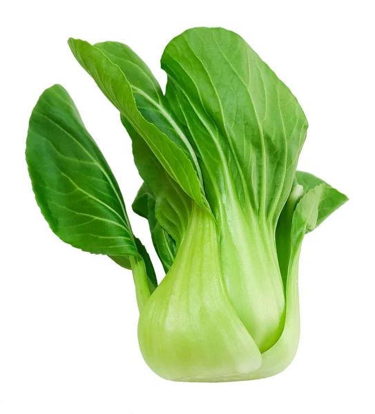 Λαχανικό Νόστιμα Φρέσκα Πράσινα Bok Choy Pok Choi Λάχανο Pak — Φωτογραφία Αρχείου