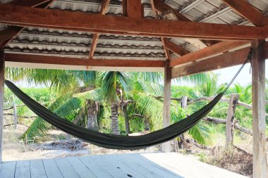 Hindistan cevizi hurma bahçe dinlenmek için hamak ile