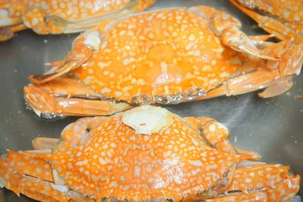 Metal bir tencerede buğulanmış mavi yengeç 