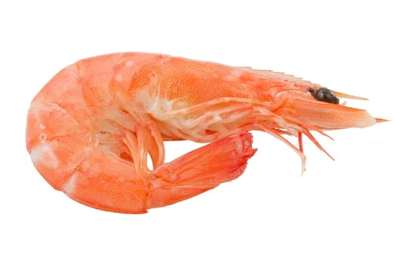 Keuken Voedsel Garnalen Gekookt Tiger Shrimps Geïsoleerd Witte Achtergrond — Stockfoto