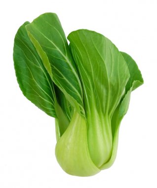 Sebze, lezzetli taze yeşil Bok Choy, Pok Choi veya Pak Choi beyaz arka plan üzerinde izole.