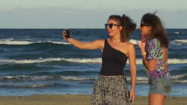 Dos chicas adolescentes disfrutando de un hermoso día de verano y teniendo videollamada en un teléfono inteligente — Vídeos de Stock