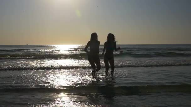 Bezstarostné ženy tančí na břehu a běží směrem k písečné pláži v pomalém pohybu — Stock video