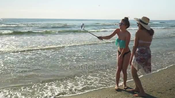 Duas jovens do sexo feminino em chamada de vídeo na praia — Vídeo de Stock