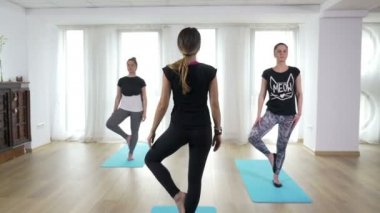 Rehberli yoga sıra ağaç asana yaparken kadınlarla