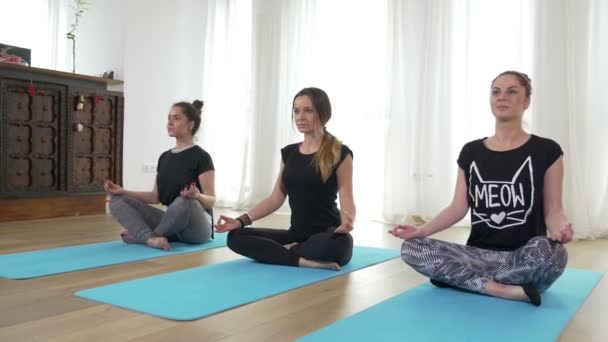 Three beautiful young women standing in lotus position on the mat at the gym — Stock Video