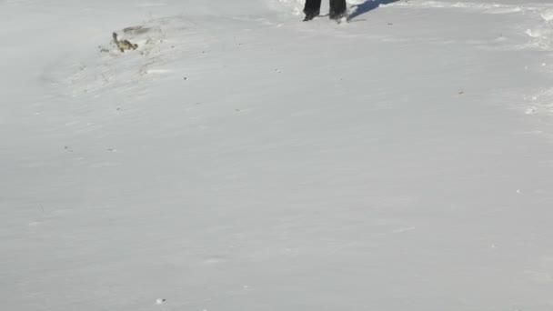 Los pies de un hombre creando un sendero en la nieve — Vídeos de Stock