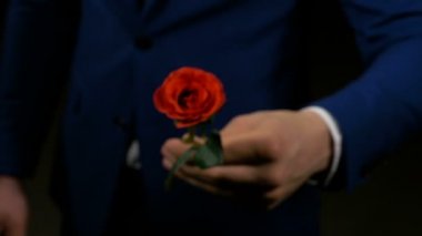 Çocuk bir gül onun Sevgililer hediyesi onun sevgilisi için eller