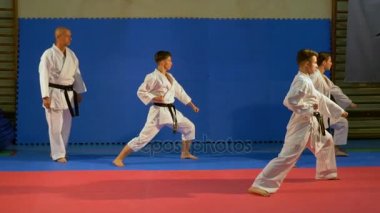 Gençler dövüş sanatları uygulayıcıları kata sensei karate öğretmeni ile dojo, gerçekleştirme
