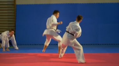 Saldırı pratik ve dojo teknikleri engelleme karate savaşçıları