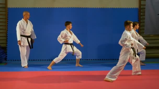 Praktycy sztuk walki młodzieży wykonywania kata w dojo z nauczycielem karate sensei — Wideo stockowe