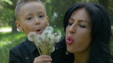 Güzel anne ve sevimli küçük çocuk birlikte gülümseyen ve aile tatil rahatlatıcı karahindiba tohum üfleme